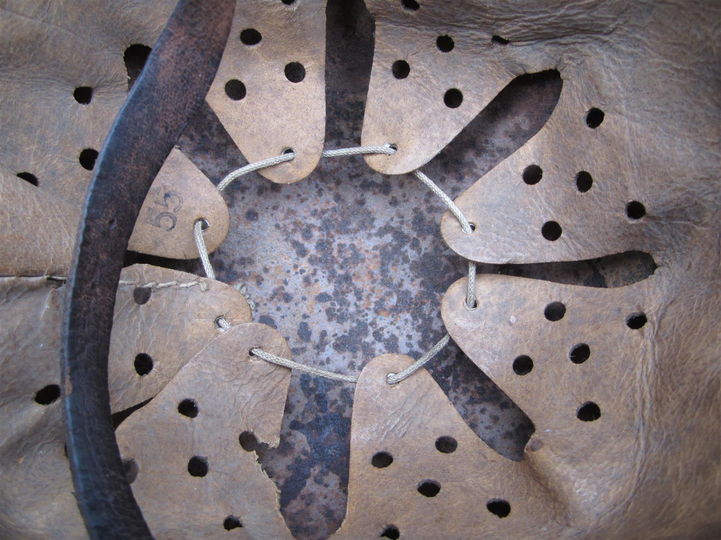 Amoxicillin for dogs for sale